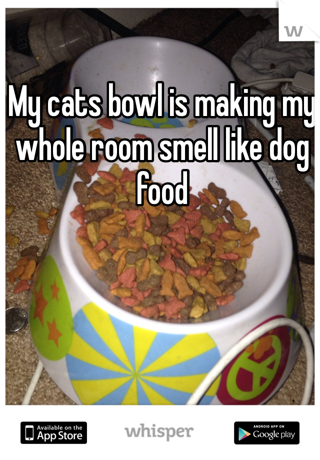 My cats bowl is making my whole room smell like dog food 