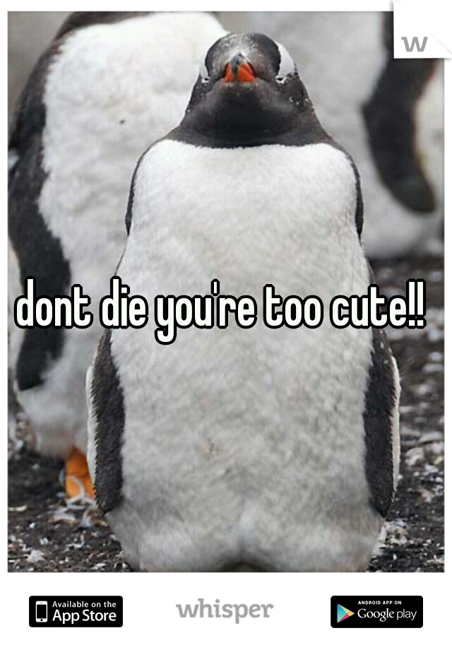 dont die you're too cute!! 