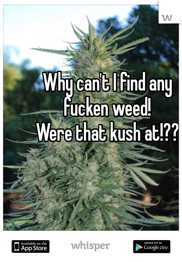 Why can't I find any fucken weed!
Were that kush at!??