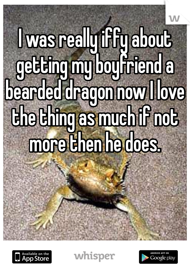 I was really iffy about getting my boyfriend a bearded dragon now I love the thing as much if not more then he does.