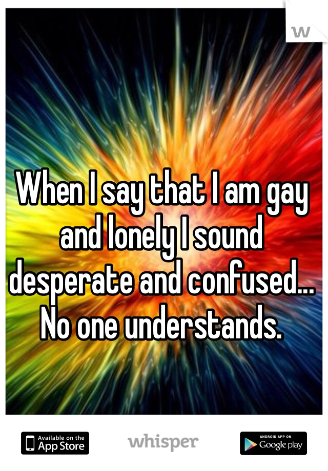 When I say that I am gay and lonely I sound desperate and confused... No one understands. 