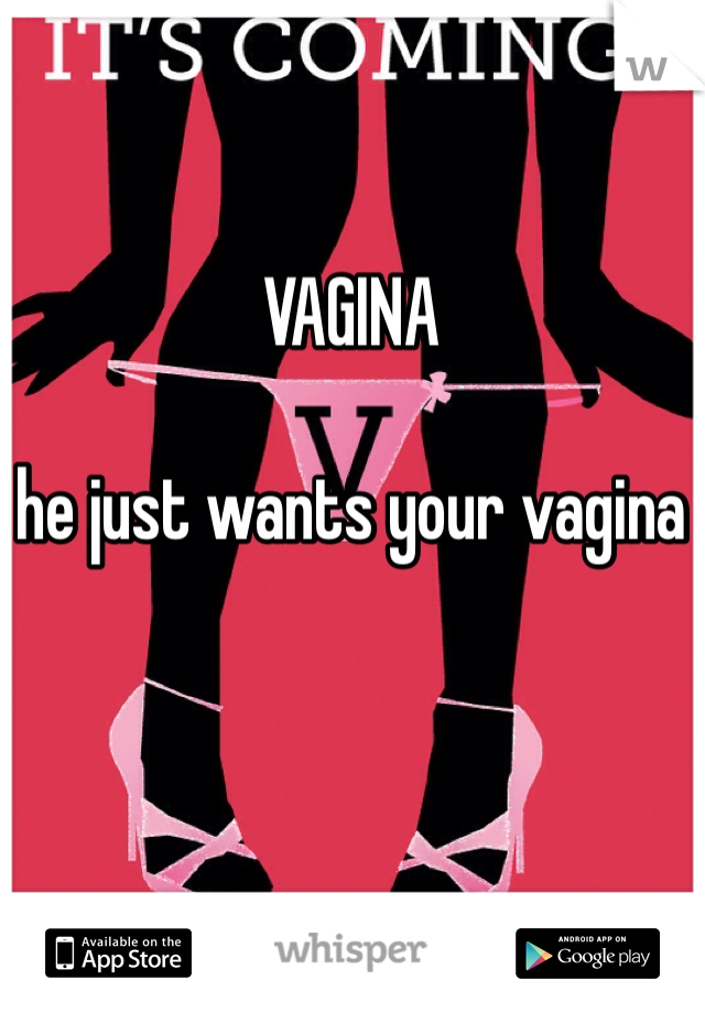 VAGINA 

he just wants your vagina 