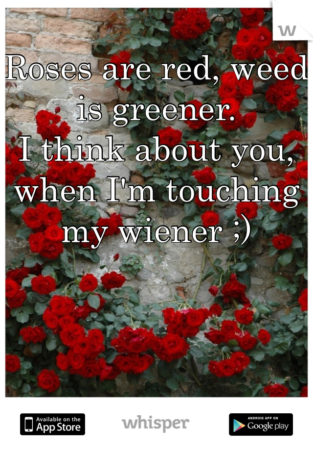 Roses are red, weed is greener. 
I think about you, when I'm touching my wiener ;)