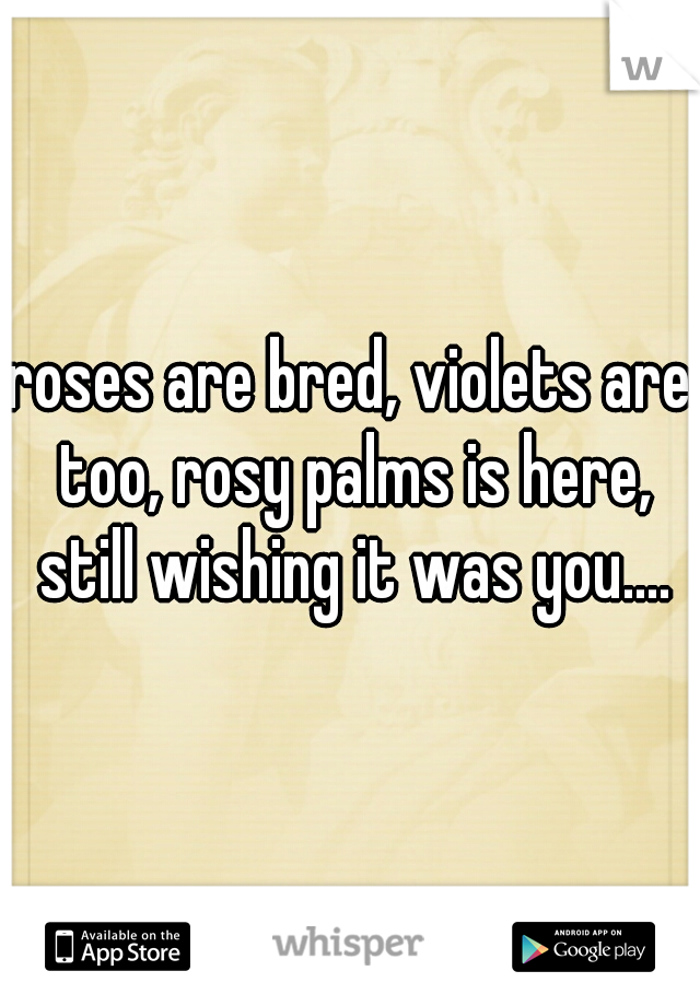 roses are bred, violets are too, rosy palms is here, still wishing it was you....