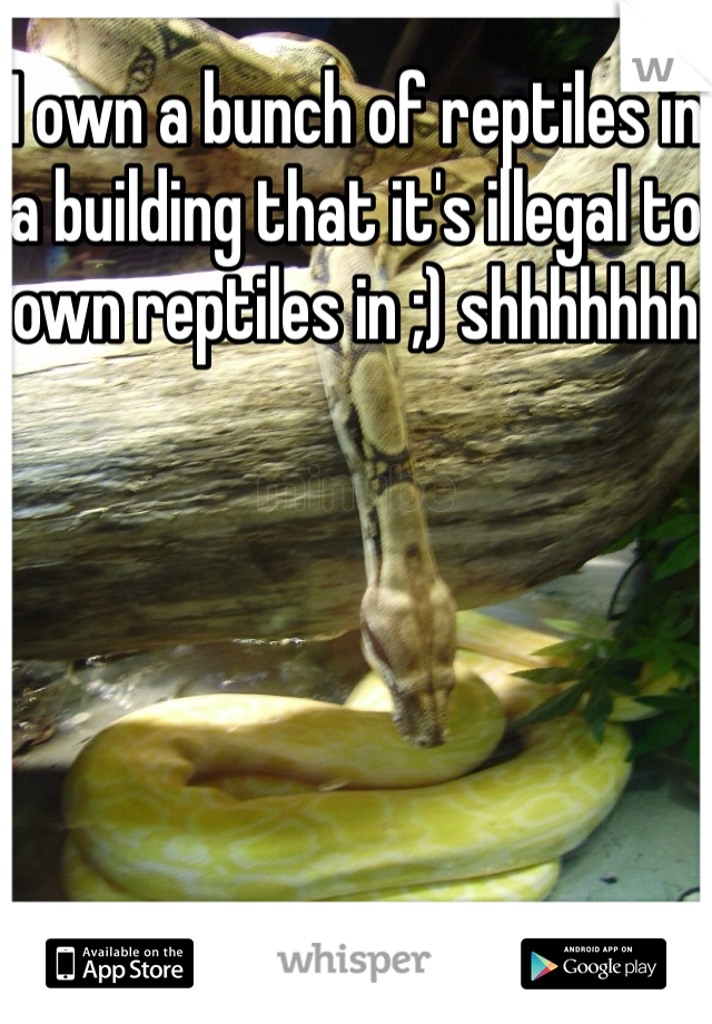 I own a bunch of reptiles in a building that it's illegal to own reptiles in ;) shhhhhhh