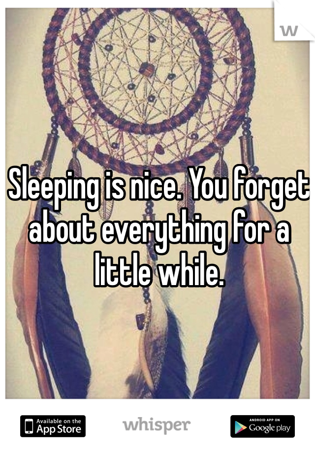 Sleeping is nice. You forget about everything for a little while.