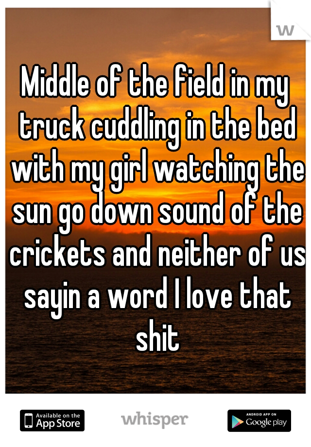 Middle of the field in my truck cuddling in the bed with my girl watching the sun go down sound of the crickets and neither of us sayin a word I love that shit