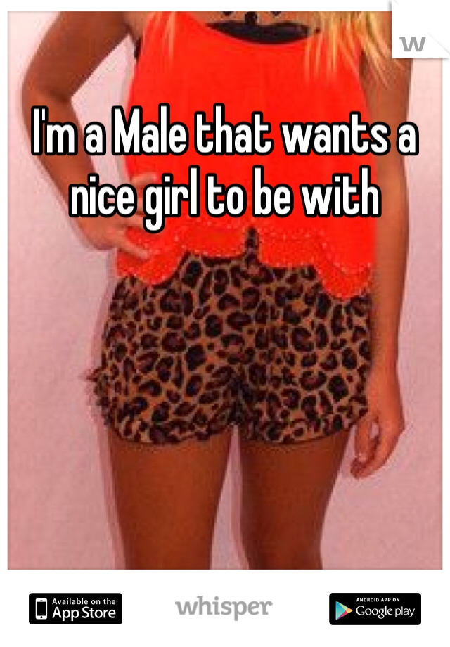 I'm a Male that wants a nice girl to be with 