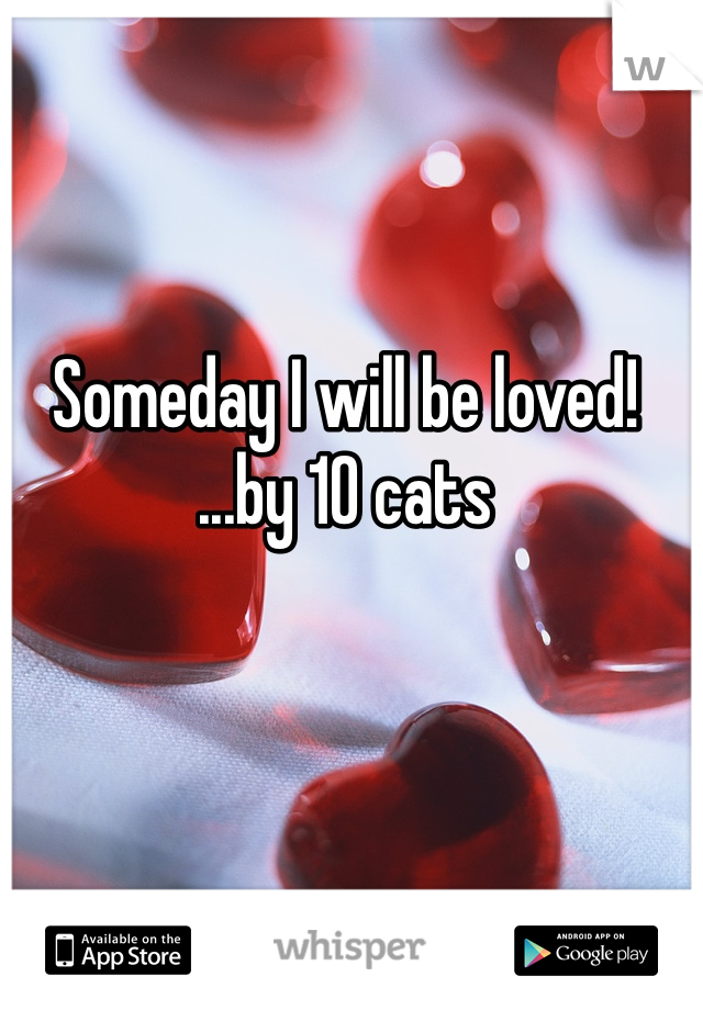 Someday I will be loved!
...by 10 cats