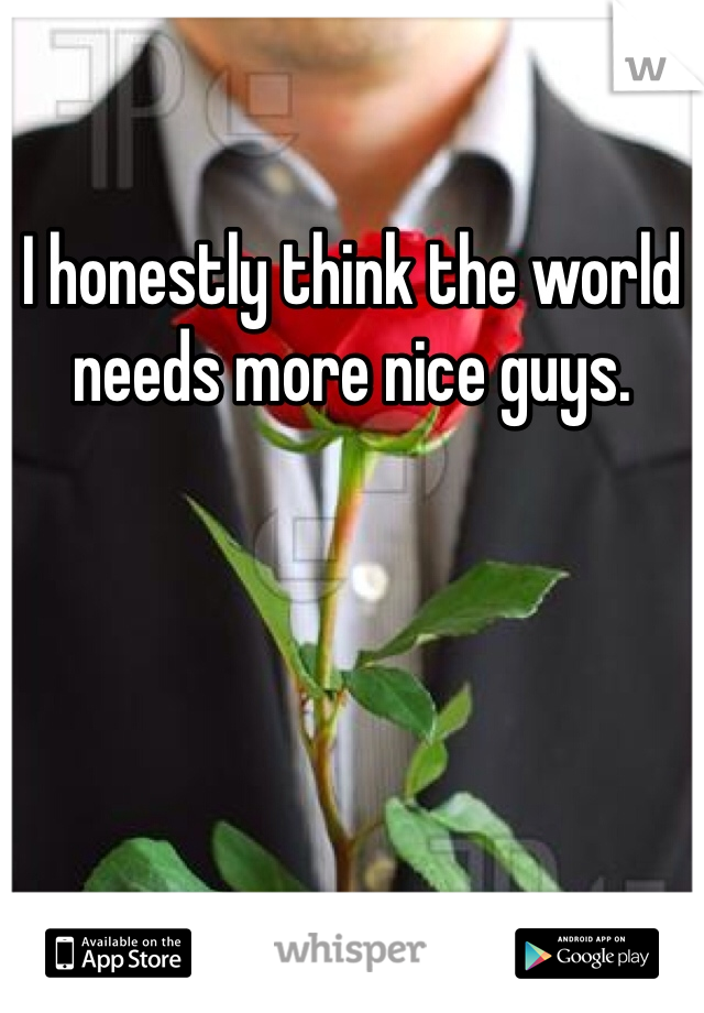 I honestly think the world needs more nice guys. 