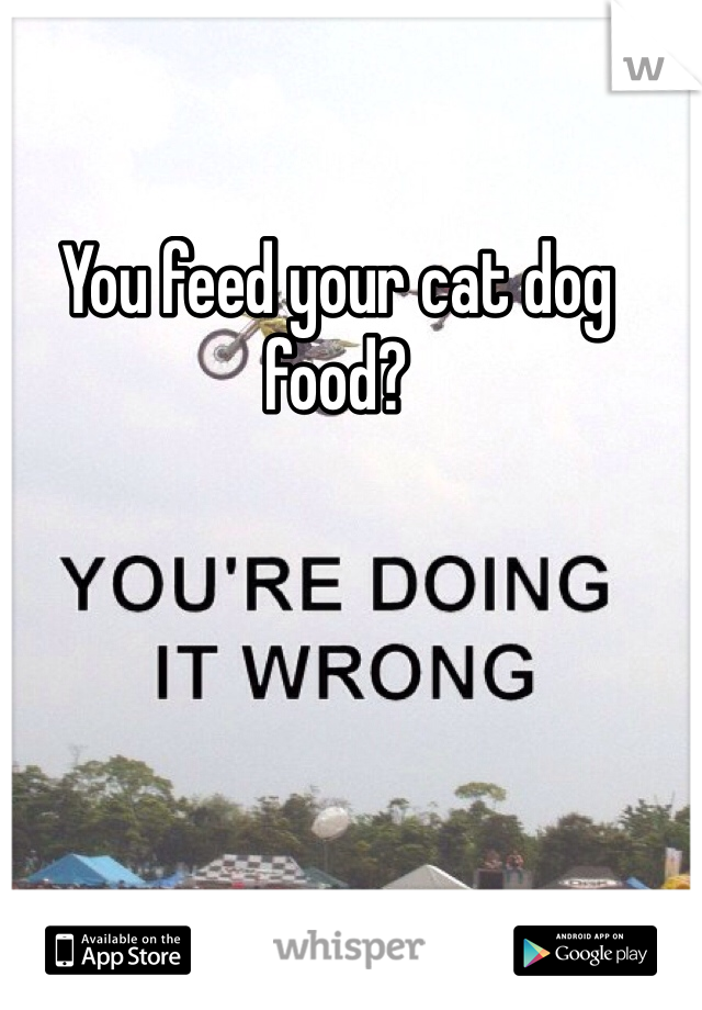 You feed your cat dog food?