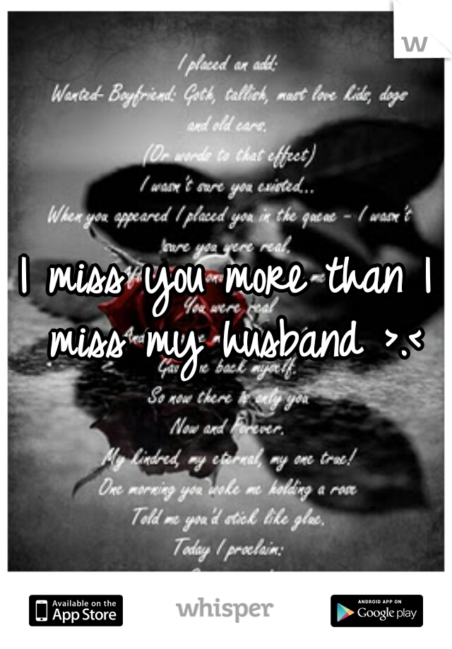 I miss you more than I miss my husband >.<