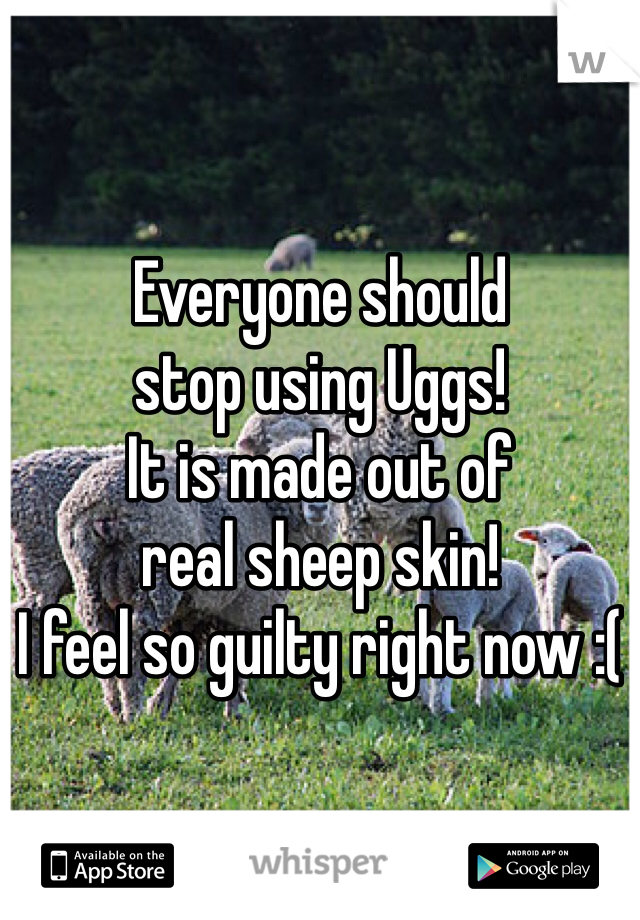 Everyone should 
stop using Uggs! 
It is made out of 
real sheep skin! 
I feel so guilty right now :( 