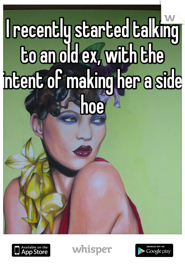 I recently started talking to an old ex, with the intent of making her a side hoe 