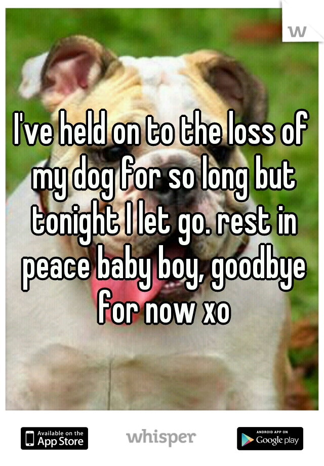 I've held on to the loss of my dog for so long but tonight I let go. rest in peace baby boy, goodbye for now xo