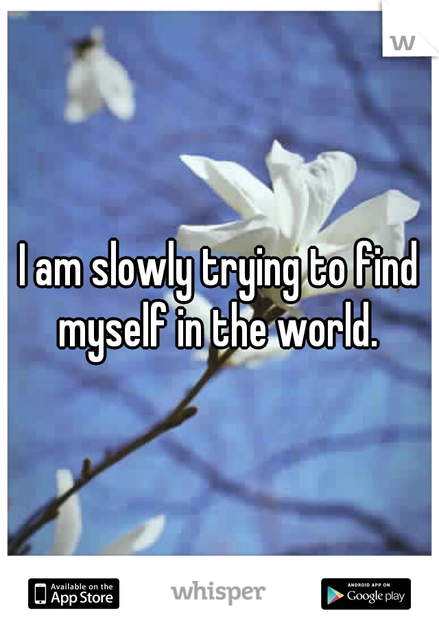 I am slowly trying to find myself in the world. 