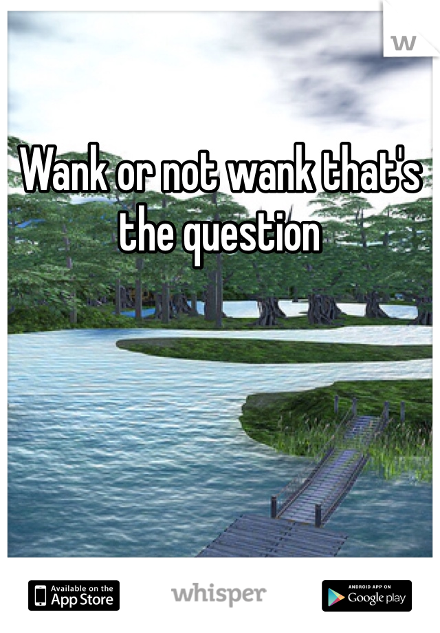 Wank or not wank that's the question 