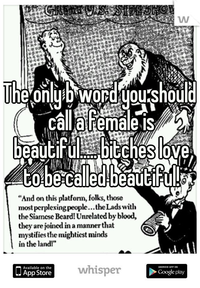 The only b word you should call a female is beautiful..... bitches love to be called beautiful!