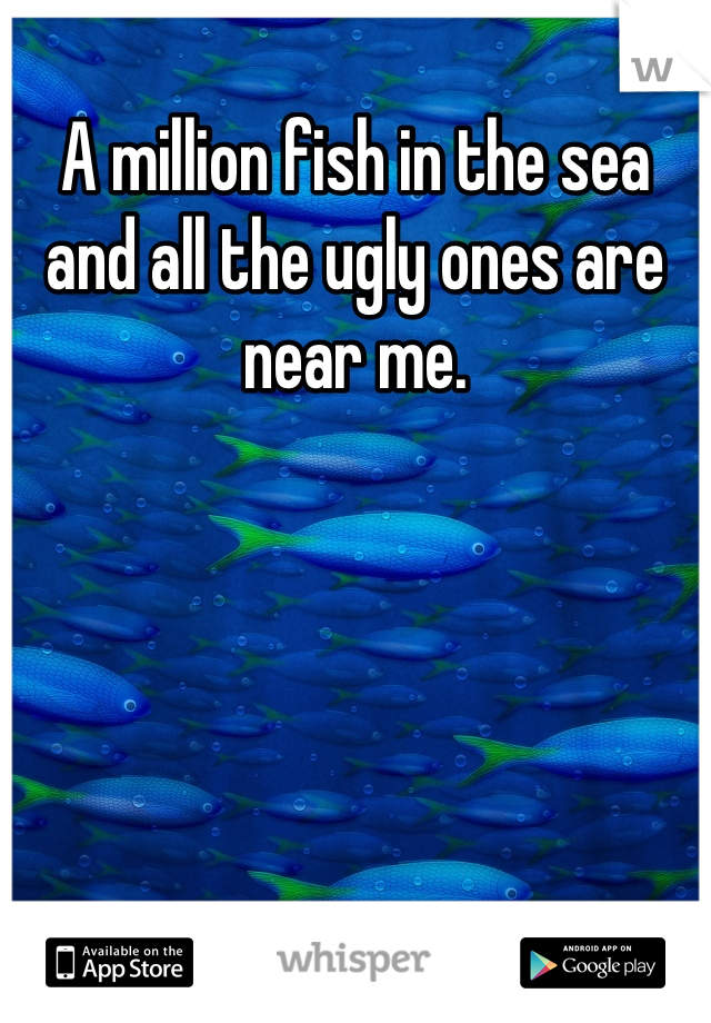 A million fish in the sea and all the ugly ones are near me.