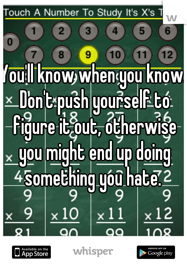 You'll know when you know. Don't push yourself to figure it out, otherwise you might end up doing something you hate. 