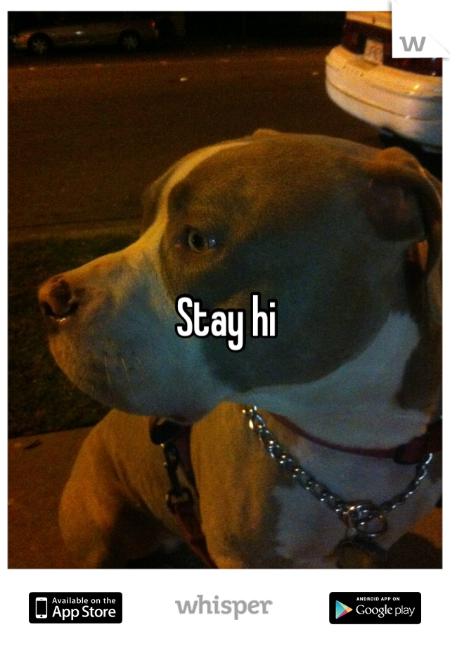 Stay hi
