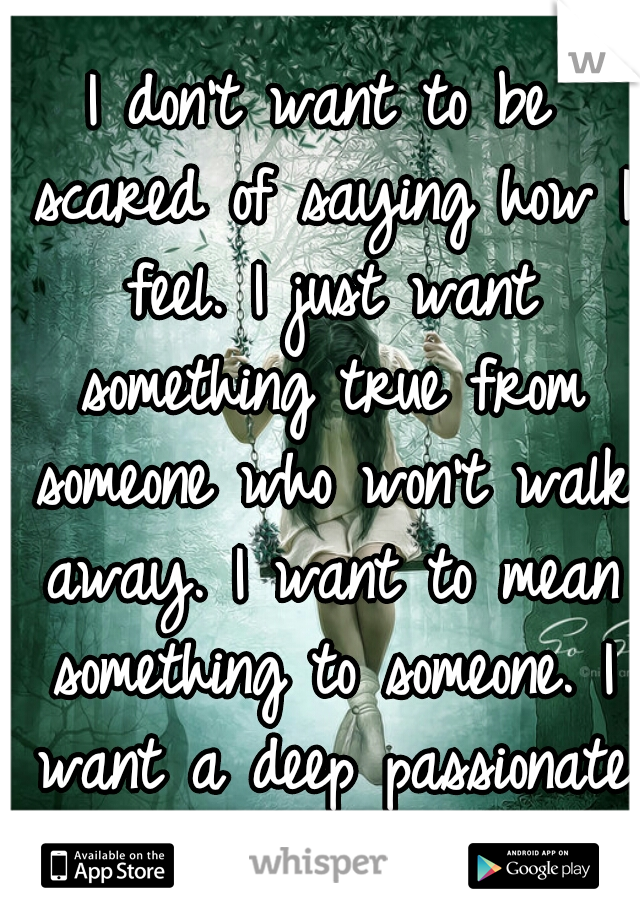 I don't want to be scared of saying how I feel. I just want something true from someone who won't walk away. I want to mean something to someone. I want a deep passionate love like no other.