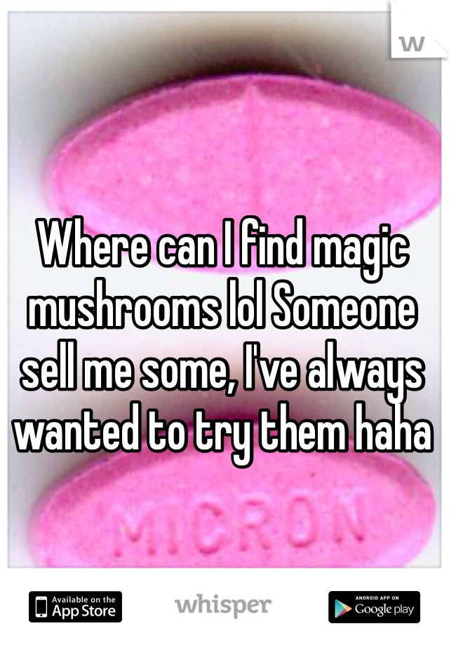 Where can I find magic mushrooms lol Someone sell me some, I've always wanted to try them haha