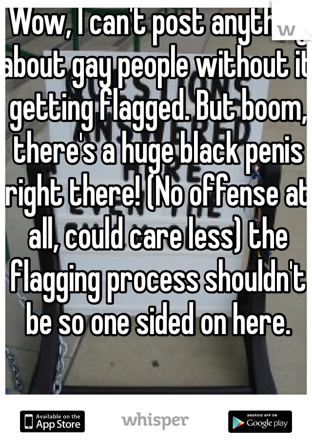 Wow, I can't post anything about gay people without it getting flagged. But boom, there's a huge black penis right there! (No offense at all, could care less) the flagging process shouldn't be so one sided on here. 