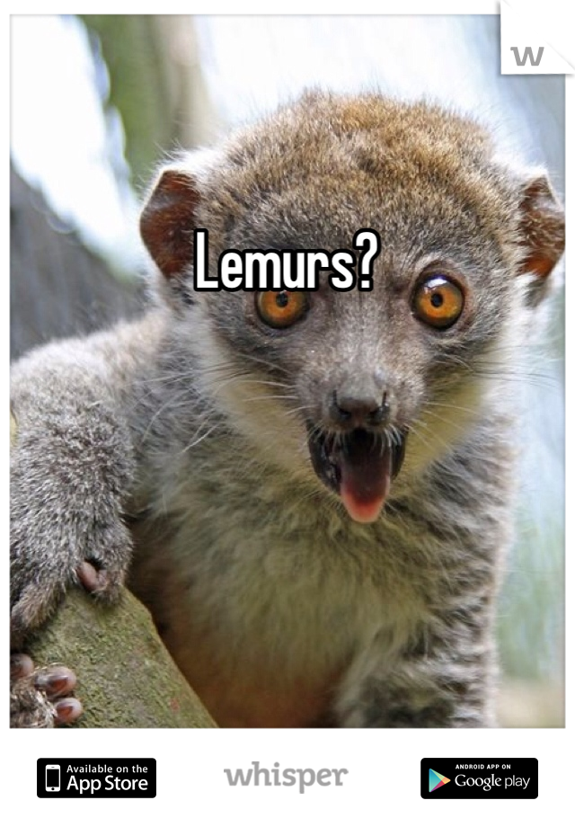 Lemurs?