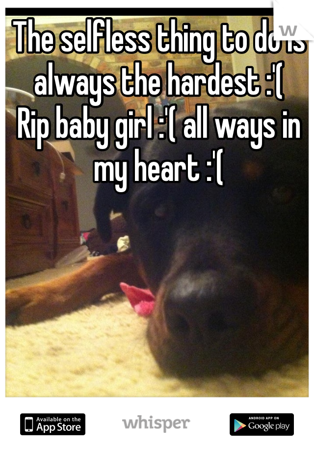 The selfless thing to do is always the hardest :'( 
Rip baby girl :'( all ways in my heart :'( 