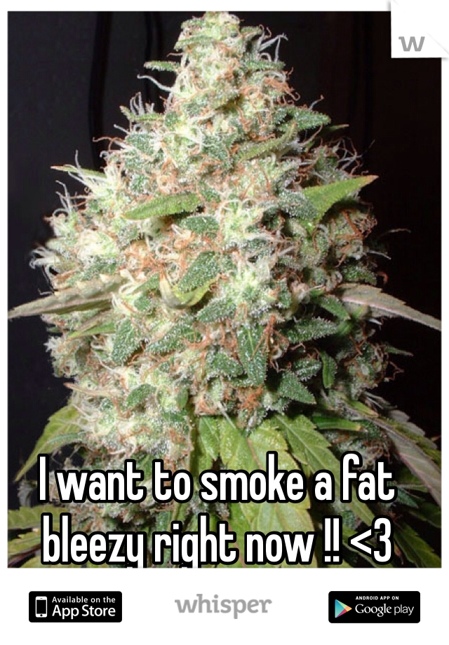 I want to smoke a fat bleezy right now !! <3