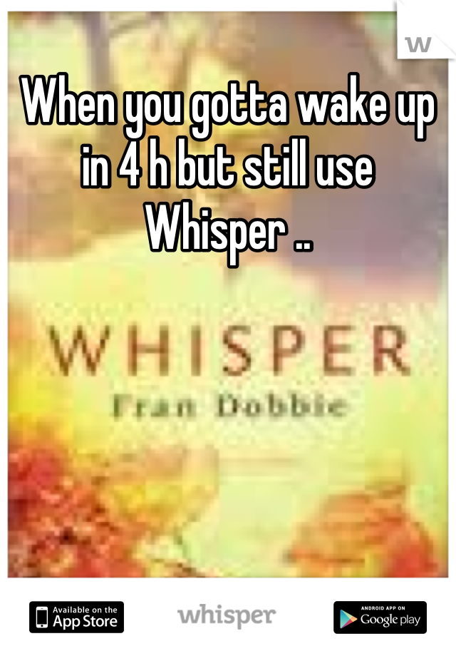 When you gotta wake up in 4 h but still use Whisper ..
