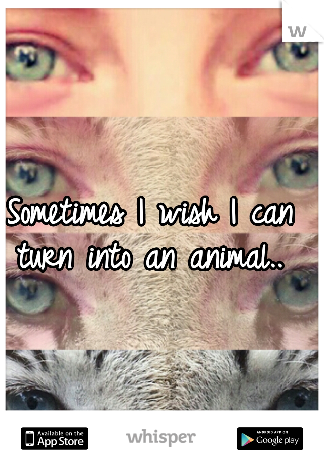 Sometimes I wish I can turn into an animal.. 