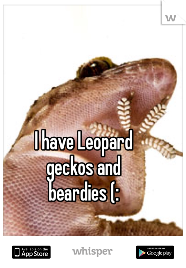 I have Leopard 
geckos and 
beardies (: