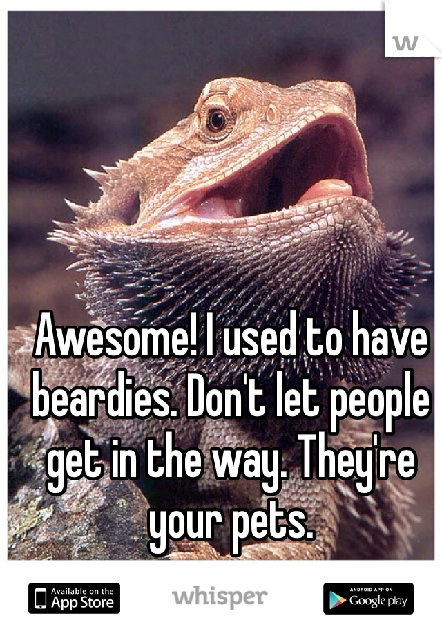 Awesome! I used to have beardies. Don't let people get in the way. They're your pets. 