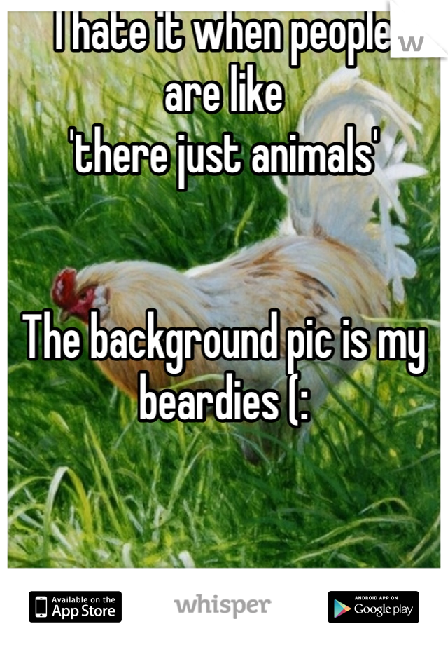 I hate it when people 
are like 
'there just animals' 


The background pic is my beardies (: