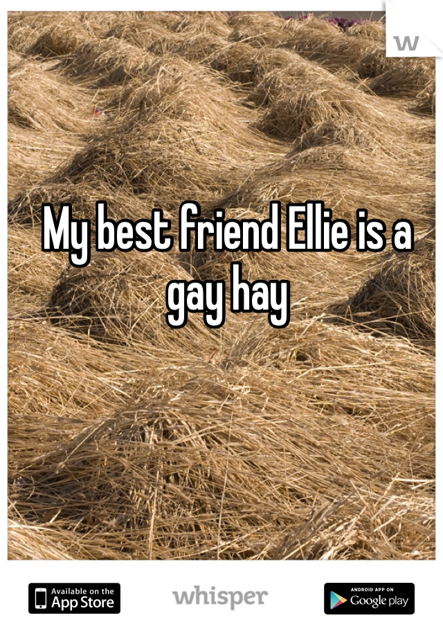 My best friend Ellie is a gay hay