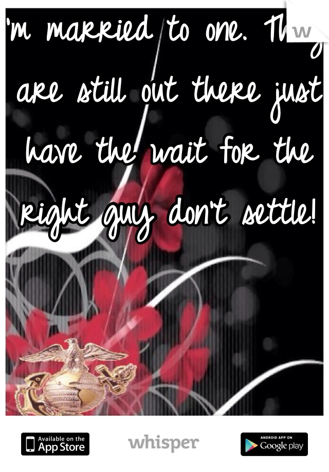 I'm married to one. They are still out there just have the wait for the right guy don't settle!