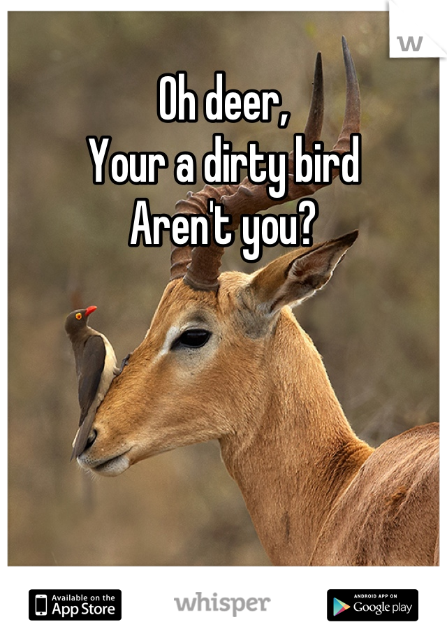 Oh deer,
Your a dirty bird
Aren't you?