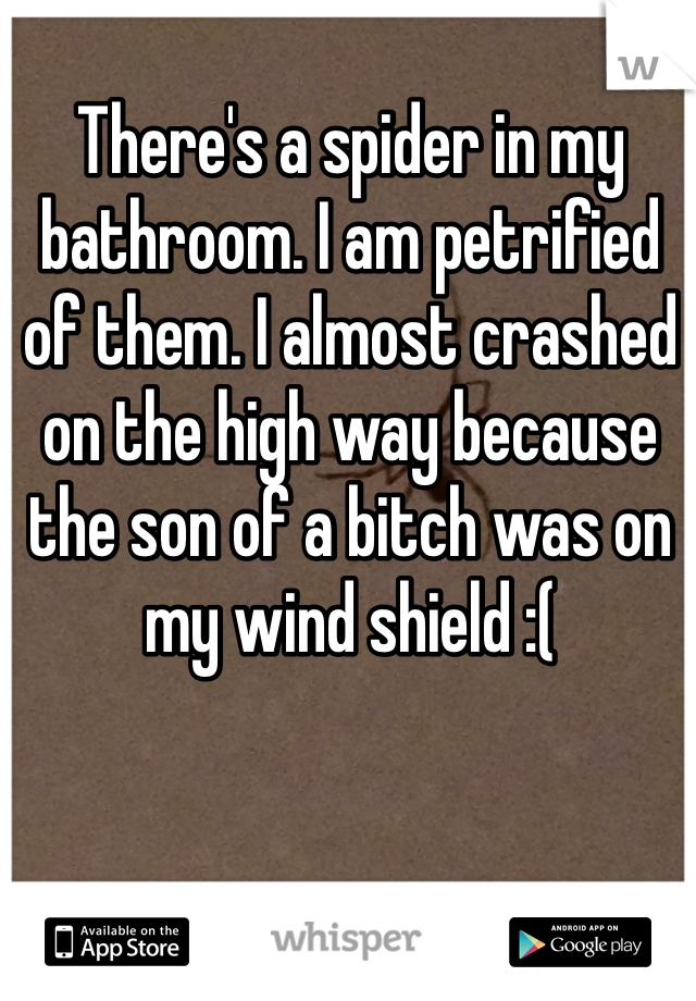 
There's a spider in my bathroom. I am petrified of them. I almost crashed on the high way because the son of a bitch was on my wind shield :(
