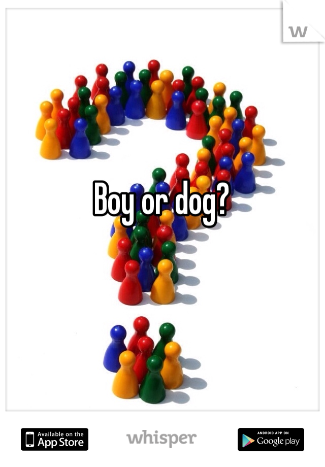 Boy or dog?