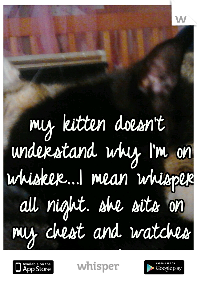 my kitten doesn't understand why I'm on whisker...I mean whisper all night. she sits on my chest and watches me hit the keys;) 