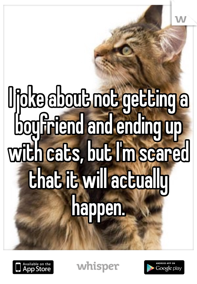 I joke about not getting a boyfriend and ending up with cats, but I'm scared that it will actually happen.