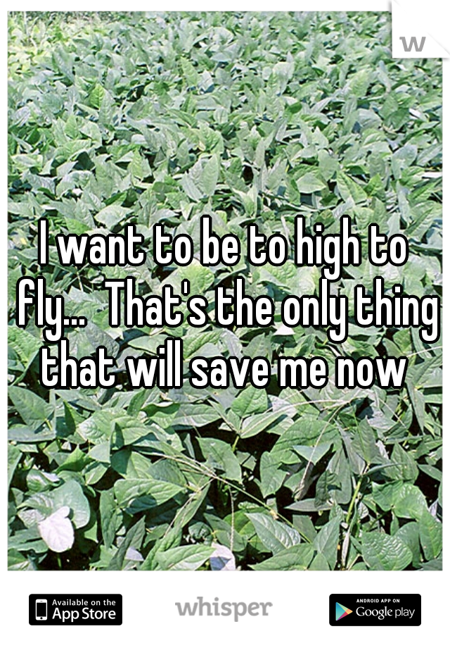 I want to be to high to fly...  That's the only thing that will save me now 