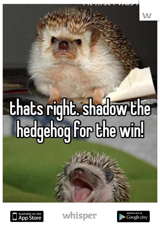 thats right. shadow the hedgehog for the win! 