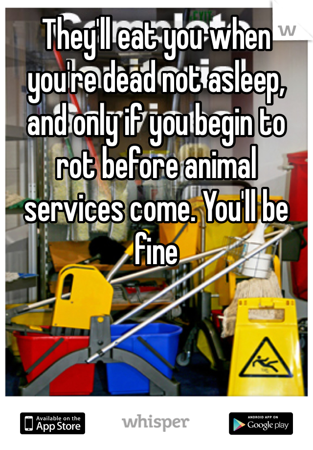 They'll eat you when you're dead not asleep, and only if you begin to rot before animal services come. You'll be fine