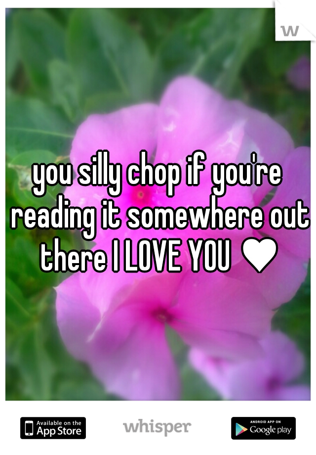 you silly chop if you're reading it somewhere out there I LOVE YOU ♥