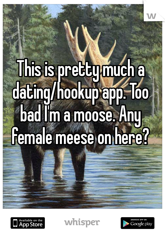 This is pretty much a dating/hookup app. Too bad I'm a moose. Any female meese on here? 