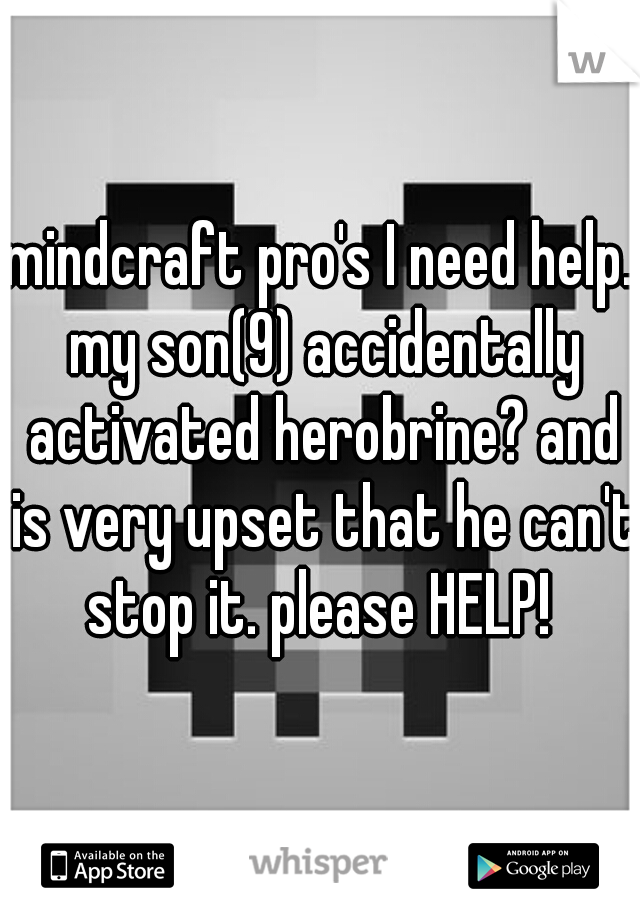 mindcraft pro's I need help. my son(9) accidentally activated herobrine? and is very upset that he can't stop it. please HELP! 