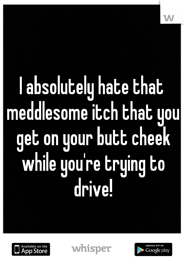 I absolutely hate that meddlesome itch that you get on your butt cheek while you're trying to drive!
